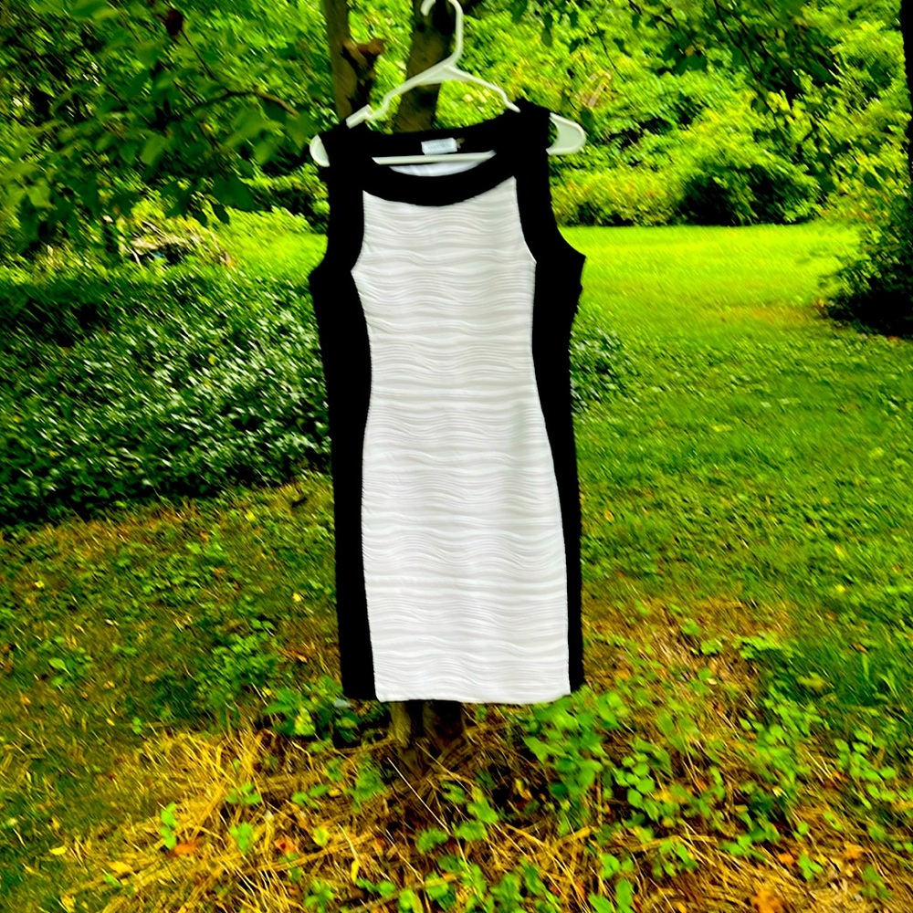 CK fitted dress size 12.  Sleeveless fitted.